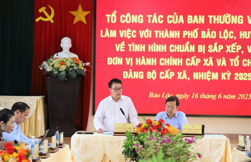 Đồng chí Nguyễn Ngọc Phúc - Phó Chủ tịch UBND tỉnh Lâm Đồng phát biểu tại buổi làm việc