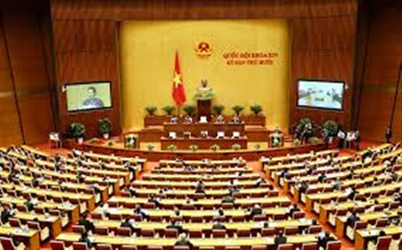 Anh minh Họa
