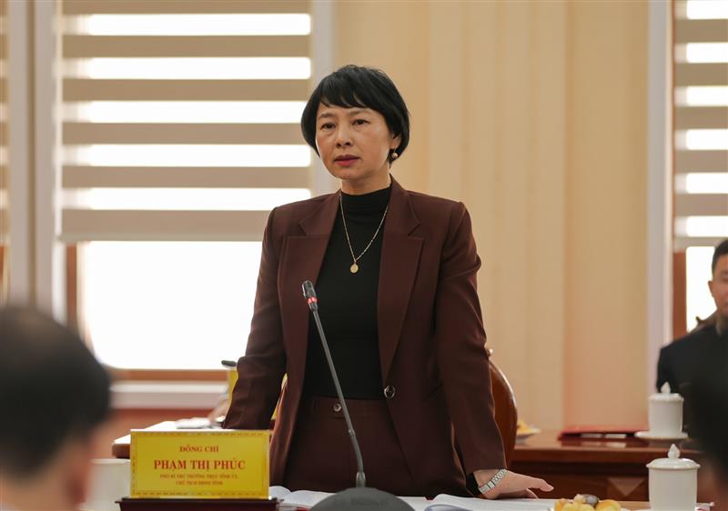 Đồng chí Phạm Thị Phúc - Phó Bí thư Thường trực Tỉnh uỷ, Chủ tịch HĐND tỉnh phát biểu tại Hội nghị