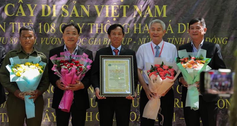 Phó Giáo sư, Tiến sĩ Trần Ngọc Hải - Phó Chủ tịch Hội Bảo vệ Thiên nhiên và Môi trường Việt Nam trao bằng công nhận quần thể thông hai lá dẹt là Cây Di sản Việt Nam cho Ban Giám đốc Vườn Quốc gia Bidoup - Núi Bà và đại diện hộ dân bảo vệ rừng