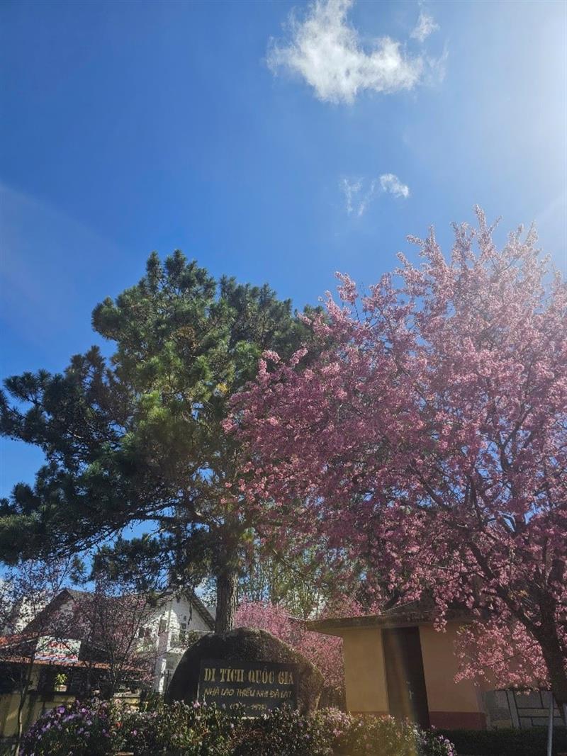 Di tích quốc gia Nhà lao Thiếu nhi Đà Lạt