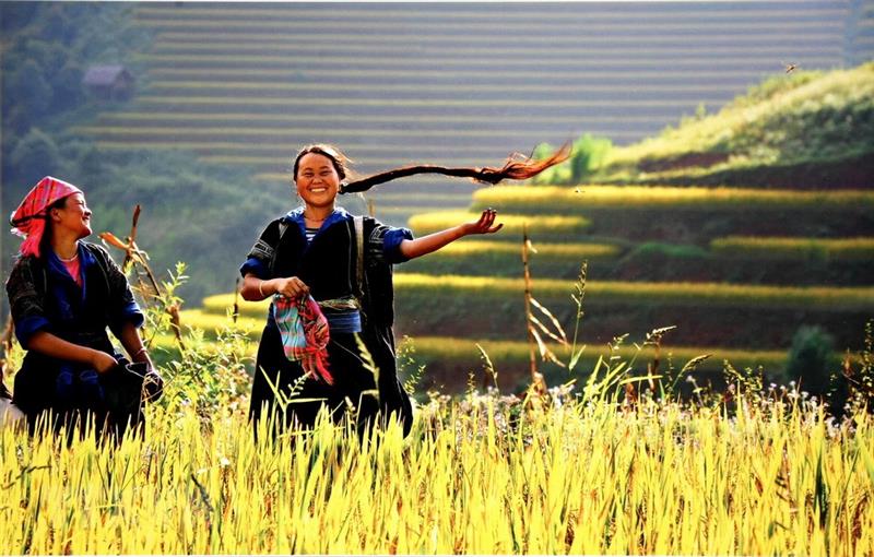 Phát triển văn hóa con người Việt Nam đáp ứng yêu cầu phát triển của đất nước.