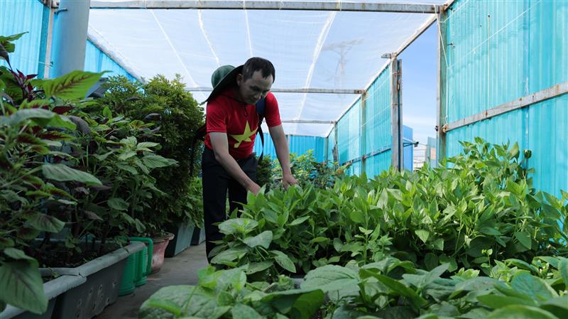 Trên tất cả đảo nổi và đảo chìm thuộc quần đảo Trường Sa và Nhà giàn DK1, vườn rau xanh, cây cảnh luôn được các chiến sỹ chăm sóc tươi tốt