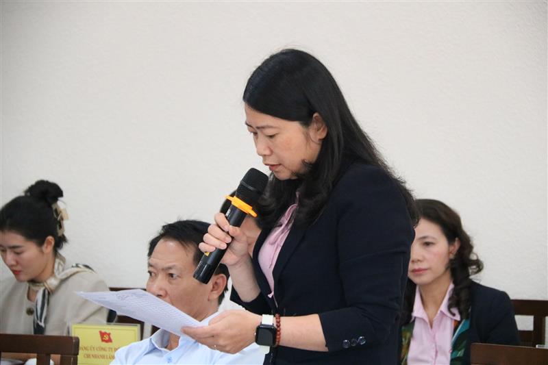 Lãnh đạo Ban Tổ chức Đảng ủy Khối Doanh nghiệp báo cáo về công tác xây dựng Đảng của Khối trong thời gian qua.