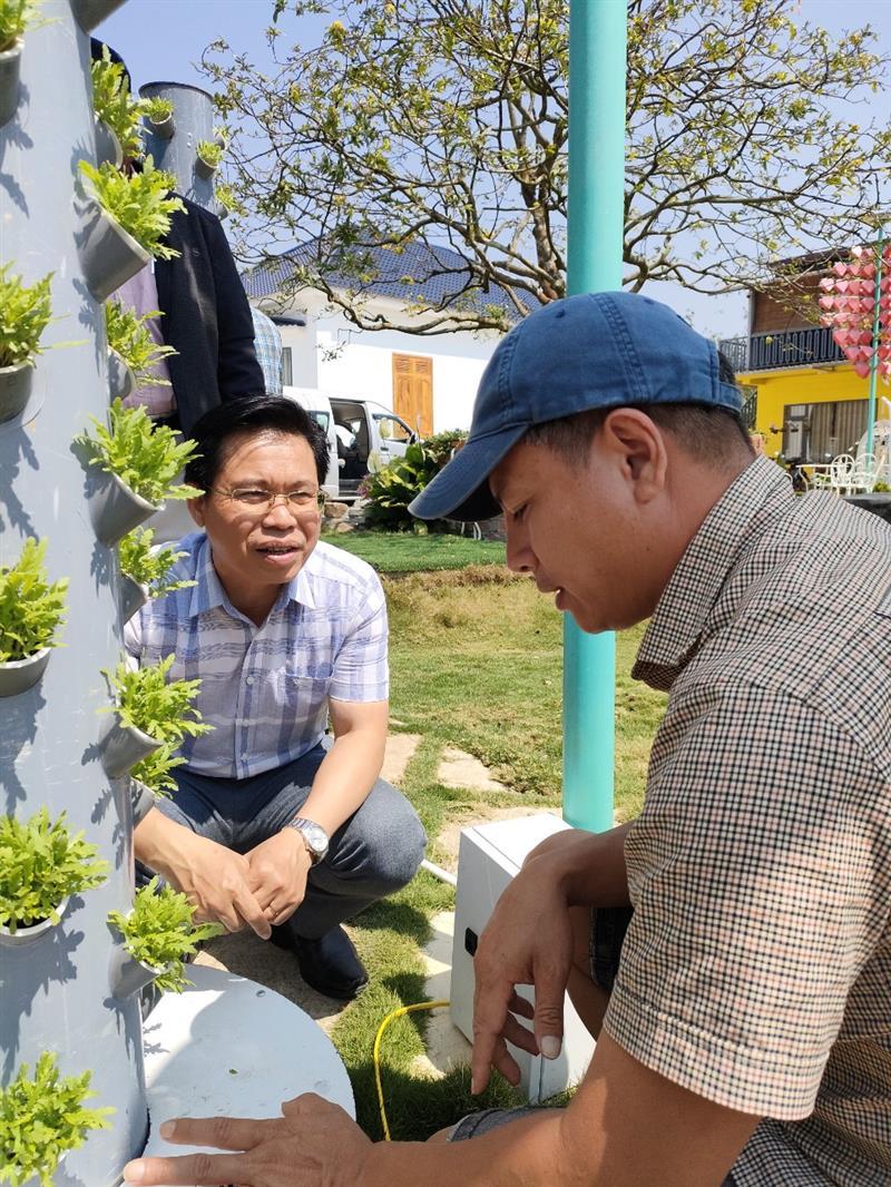 Anh Đinh Công Tráng, Thôn 6 Lộc Nam dẫn đoàn tham quan vườn rau.