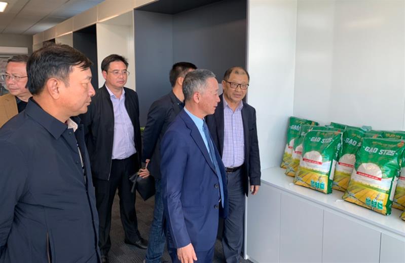 Đoàn công tác tham quan, tìm hiểu các sản phẩm tiêu biểu của Hội doanh nhân Việt Nam tại Australia. Ảnh: CTV