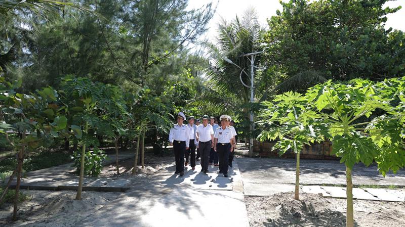 Cây xanh các loại được trồng nhiều ở 2 bên đường đi trên đảo Sinh Tồn
