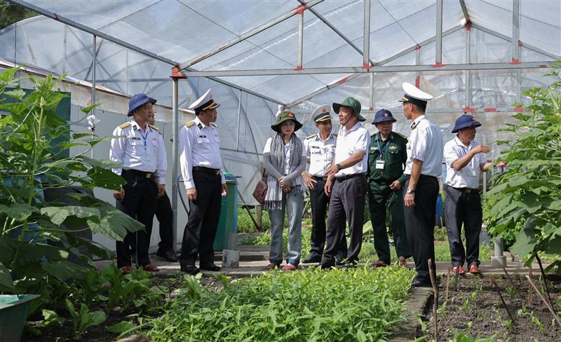 Vườn tăng gia trong nhà kính trên đảo Sinh Tồn