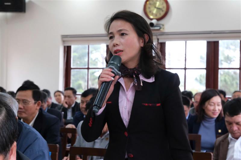Bà Nguyễn Thị Ngọc Thu - Giám đốc Chi nhánh Ngân hàng Chính sách xã hội tỉnh phát biểu tại hội nghị