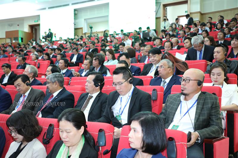 Các đại biểu tham dự Hội nghị.