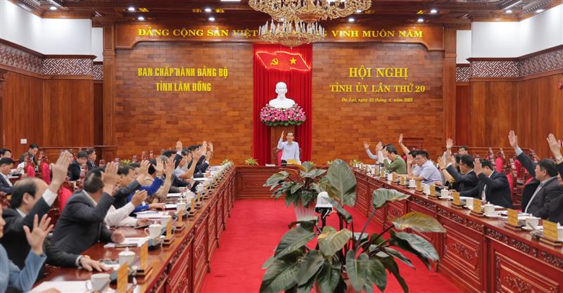 Các đại biểu biểu quyết thông qua Dự thảo Đề án