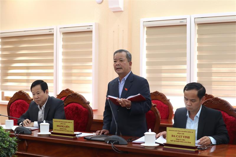 Đồng chí Hoàng Liên - Chủ tịch Liên đoàn Lao động tỉnh trình bày kiến nghị, đề xuất tại hội nghị.