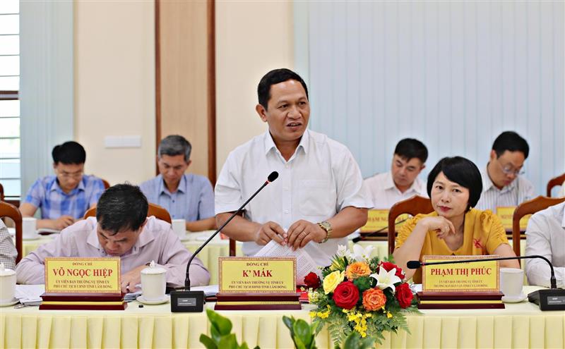 Đồng chí K’ Mák - Phó Chủ tịch HĐND tỉnh phát biểu tại buổi làm việc.