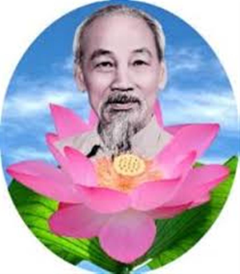 Ảnh minh họa