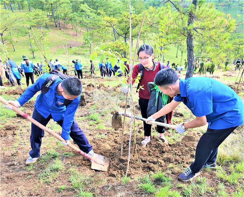 Lực lượng đoàn viên thanh niên tham gia trồng cây xanh. Ảnh. T.D.H.