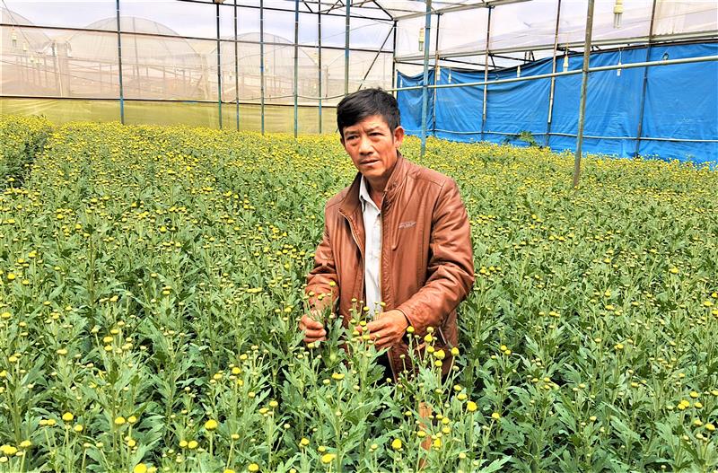 Nông dân Phường 12 - Đà Lạt sản xuất hoa được cấp nhã hiệu Đà Lạt - Kết tinh kỳ diệu từ đất lành. Ảnh Thanh Hồng.
