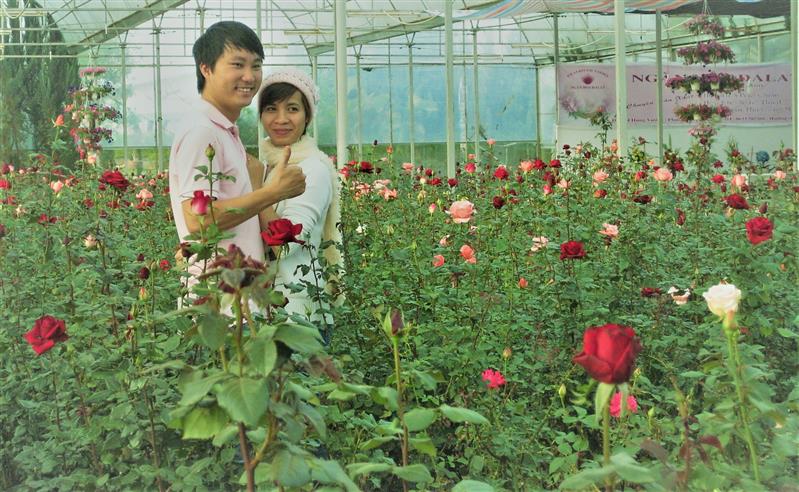 Phát triển nông nghiệp công nhệ cao gắn với du lịch là bước đi đúng hướng.  Ảnh Tthanh Dương Hồng.jpg