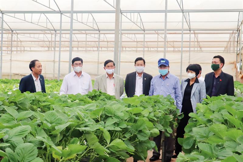 Thường trực Tỉnh ủy thường xuyên kiểm tra thực tế và làm việc trực tiếp ở cơ sở đã tạo nên nhiều hiệu quả trong triển khai, thực hiện các nhiệm vụ.