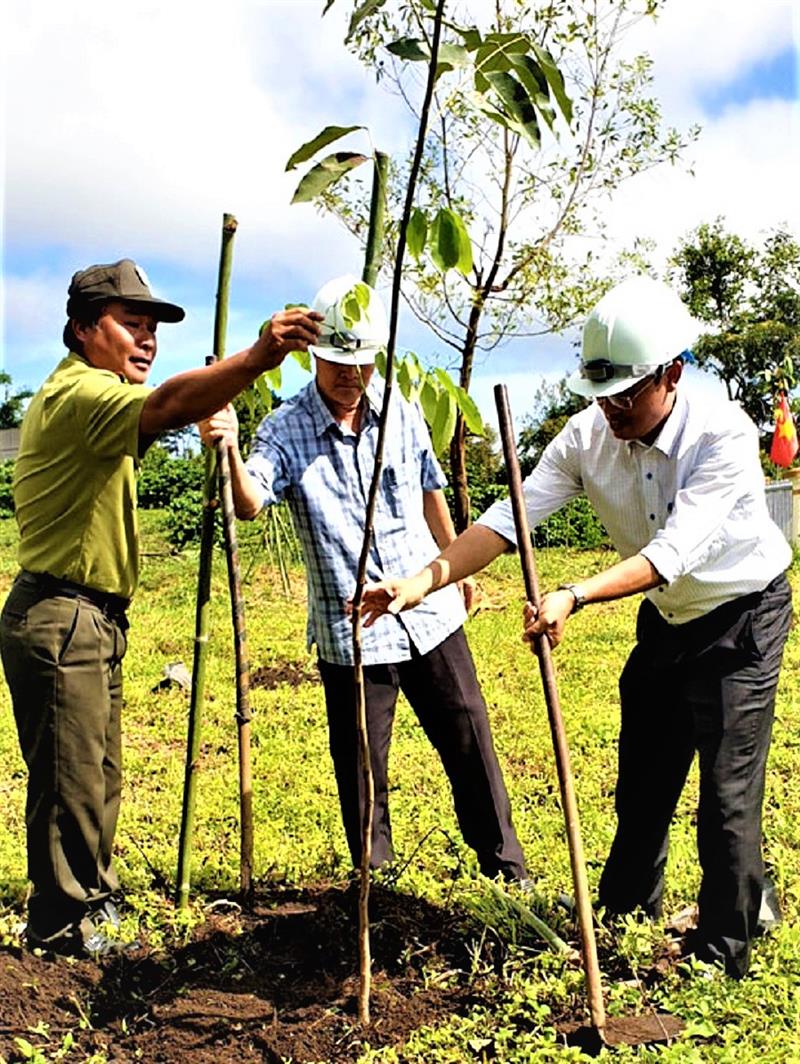 Trồng cây phân tán tại huyện Bảo Lâm
