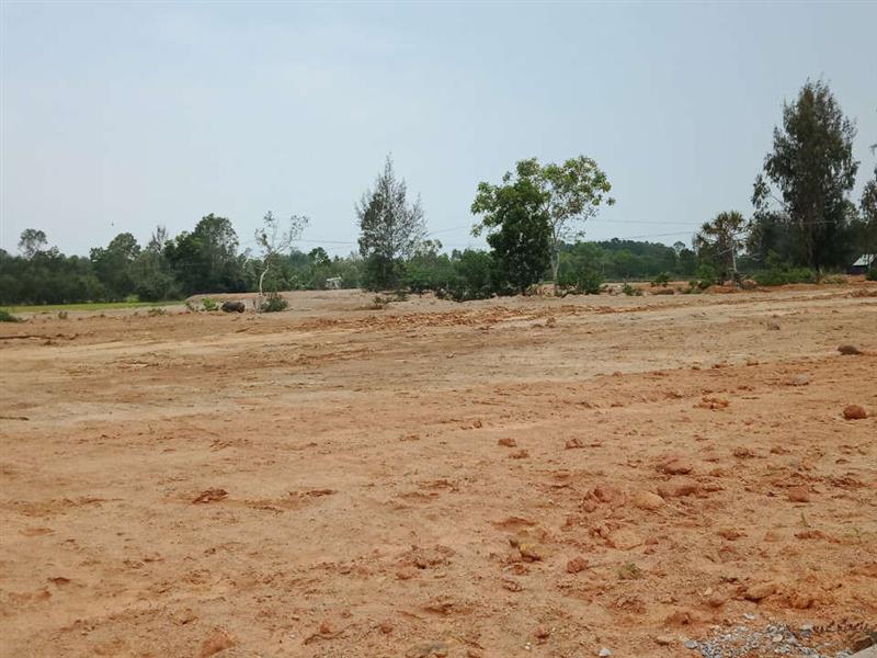 Trường hợp đấu giá quyền sử dụng đất thì giá đất được trừ để tính thuế giá trị gia tăng là giá đất trúng đấu giá
