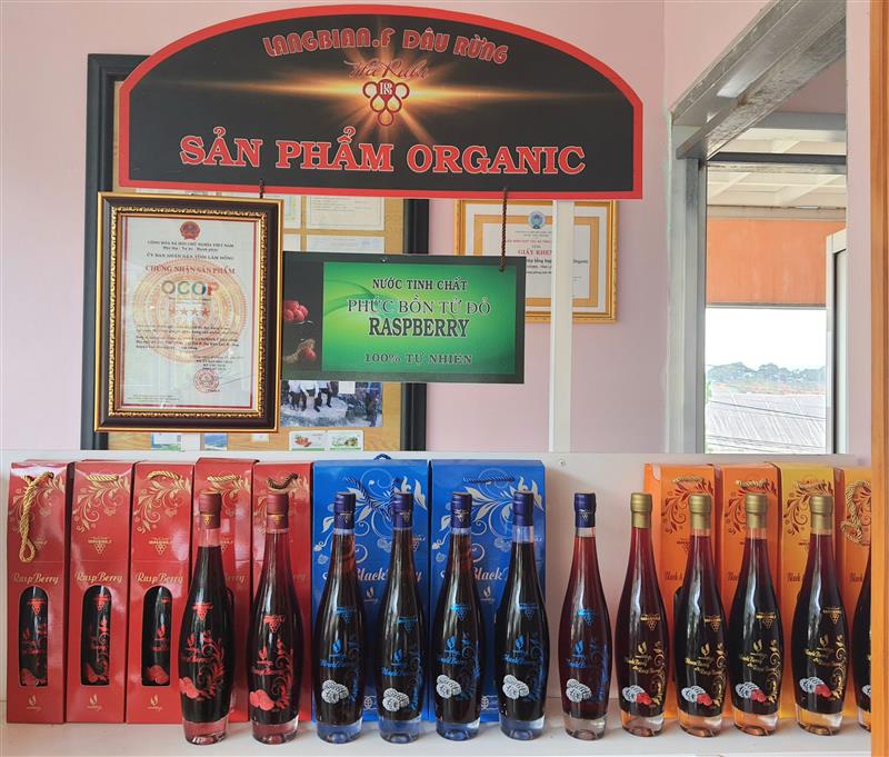 Rượu vang Phúc bồn tử của Công ty TNHH LangBian đạt OCOP 4 sao. Ảnh Thanh Dương Hồng. Rượu vang Phúc bồn tử của Công ty TNHH LangBian đạt OCOP 4 sao. Ảnh Thanh Dương Hồng.